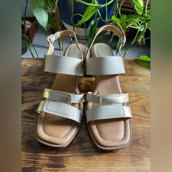 Spring Step - Picture 1 of 4